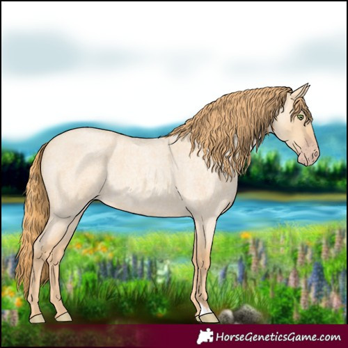 Horse Color:Gold Champagne Roan Dun 