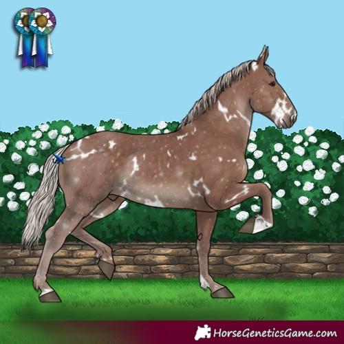 Horse Color:White Spotted Chocolate Silver Black 