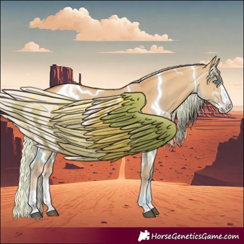 Horse Color:Palomino Dun Splash 