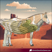 Horse Color:Palomino Dun Splash
