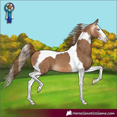 Horse Color:Gray Perlino Splash Tobiano