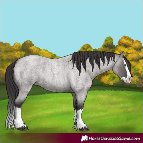 Horse Color:Smoky Grullo Roan Splash