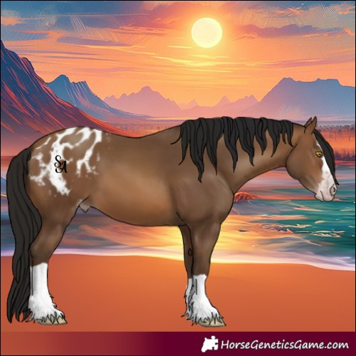 Horse Color:Gray Amber Champagne Appaloosa 