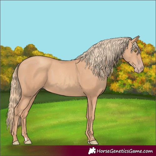 Horse Color:Gold Champagne