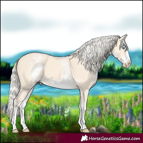 Horse Color:White Spotted Cremello Frame