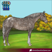 Horse Color:Silver Black Tobiano Snowflake Varnish 