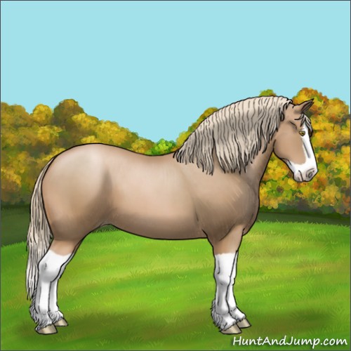 Horse Color:Chestnut Pearl Splash 