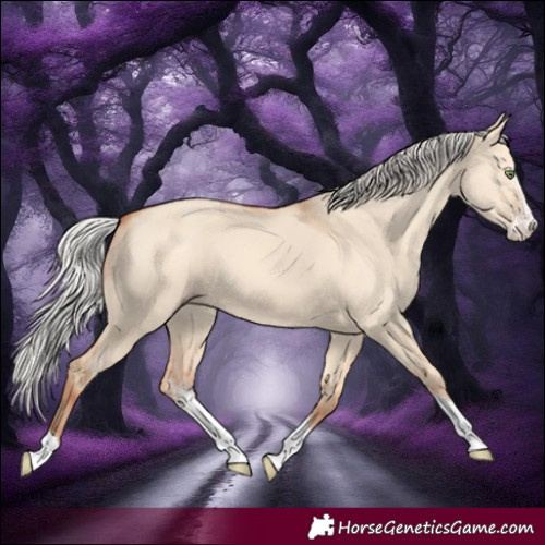 Horse Color:Silver Amber Champagne Dun Sabino 