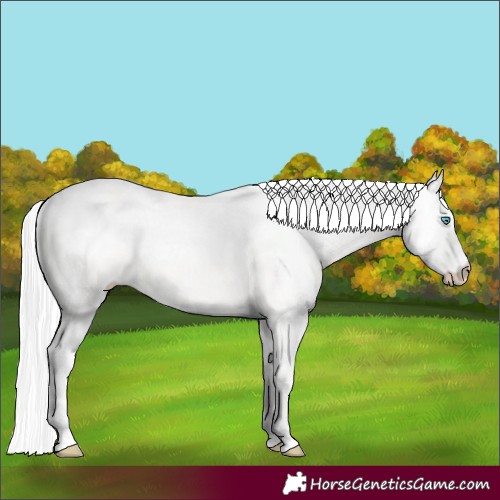 Horse Color:Cremello Dun 