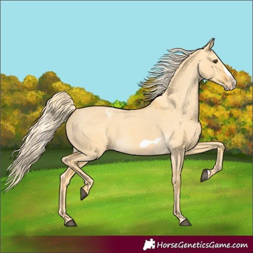 Horse Color:Palomino Dun Frame Varnish 