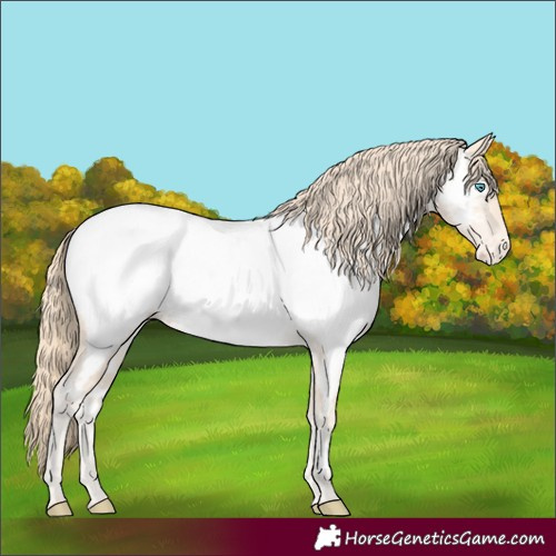 Horse Color:Perlino Near Fewspot