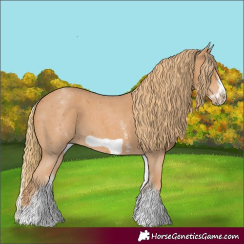 Horse Color:White Spotted Chestnut Sabino Frame 