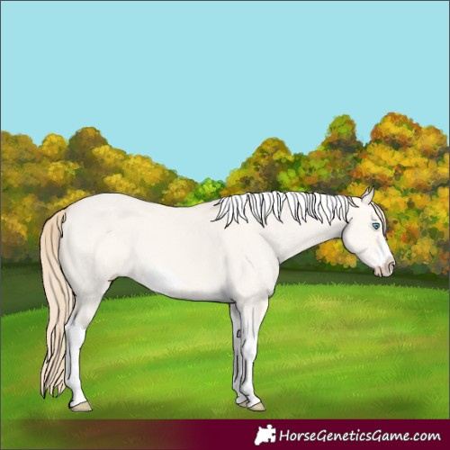 Horse Color:Perlino Dun Tobiano Frame 