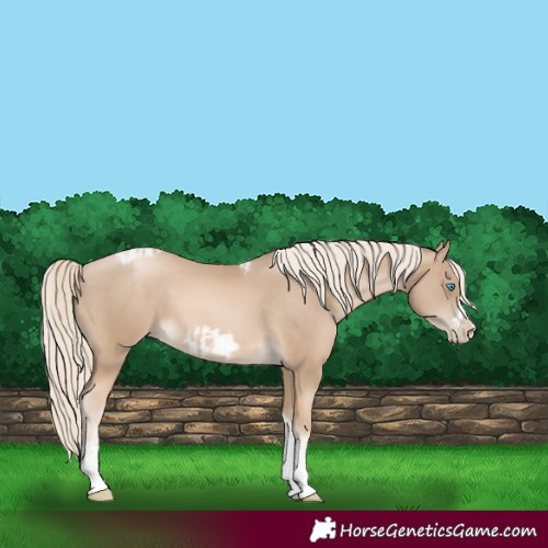 Horse Color:Chocolate Palomino Pearl Tobiano Frame  and Chocolate Palomino Pearl Tobiano Frame 
