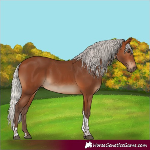 Horse Color:Silver Brown Tobiano Rabicano