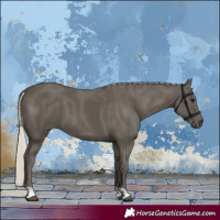 Horse Color:Silver Black 