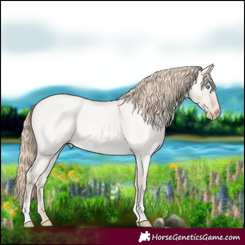Horse Color:Smoky Creme Roan Dun
