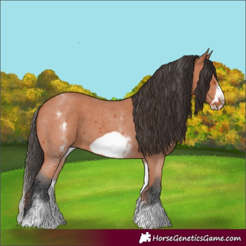 Horse Color:White Spotted Bay Sabino Frame