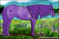 Horse Color:Watercolor Black 