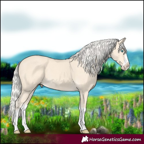 Horse Color:Cremello Splash and Cremello Splash