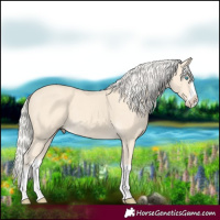 Horse Color:Cremello Splash  and Cremello Splash 