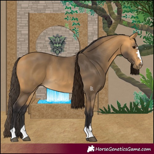 Horse Color:Buckskin