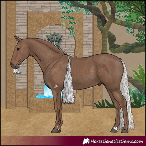 Horse Color:Silver Black