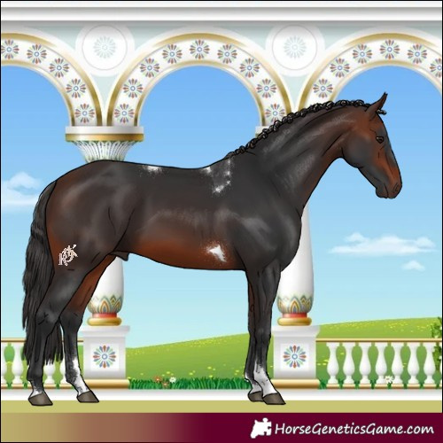 Horse Color:Brown Tobiano 