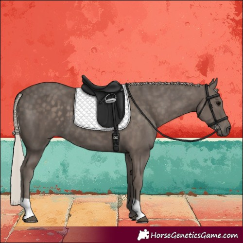 Horse Color:Silver Black