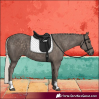 Horse Color:Silver Black