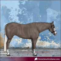 Horse Color:Silver Black