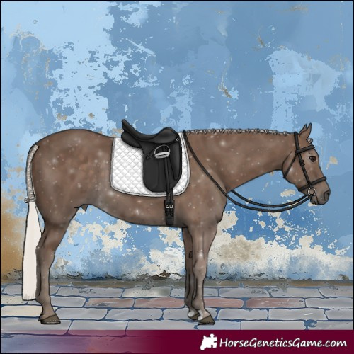 Horse Color:Silver Black