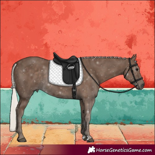 Horse Color:Silver Black