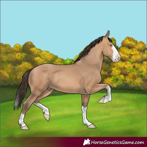 Horse Color:Amber Champagne Splash