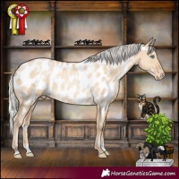 Horse Color:White Spotted Silver Buckskin Pearl Dun Tobiano Appaloosa Rabicano 