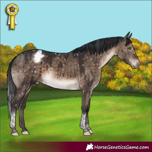 Horse Color:Brown Dun Mushroom Tobiano Appaloosa Rabicano Brindle 