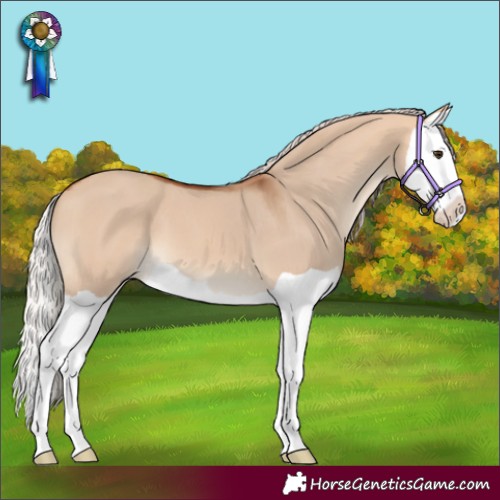 Horse Color:Silver Bay Dun Splash