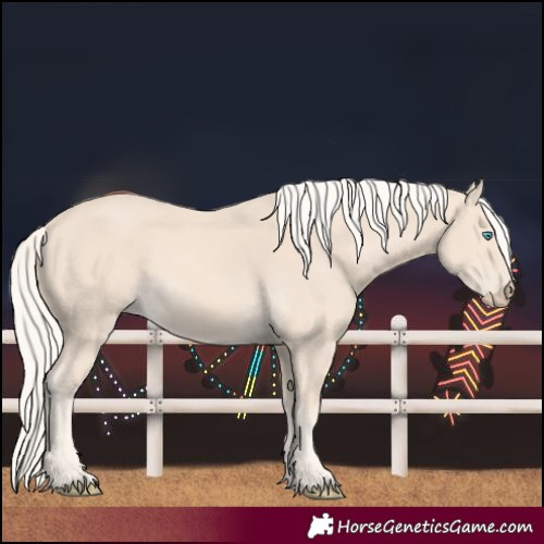 Horse Color:Cremello
