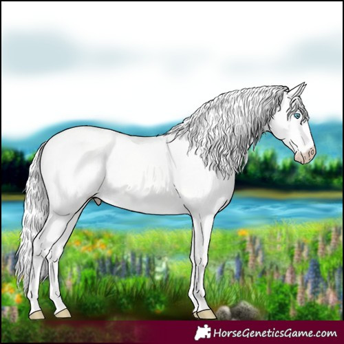 Horse Color:Silver Perlino Dun