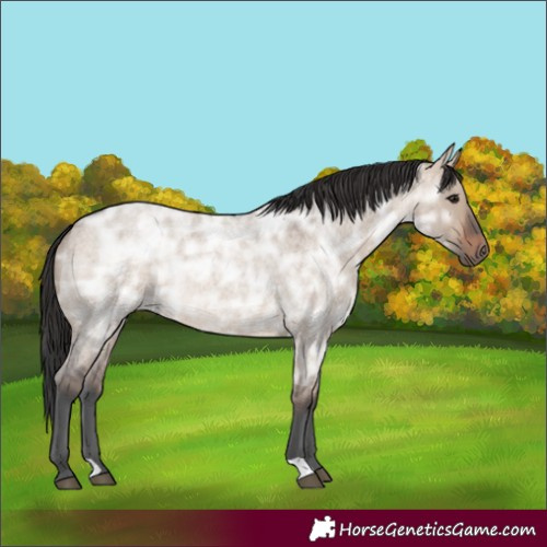 Horse Color:Brown Ice Roan Dun Rabicano 