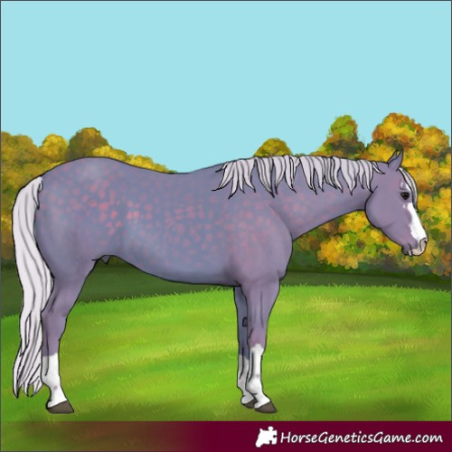 Horse Color:Watercolor Silver Black 