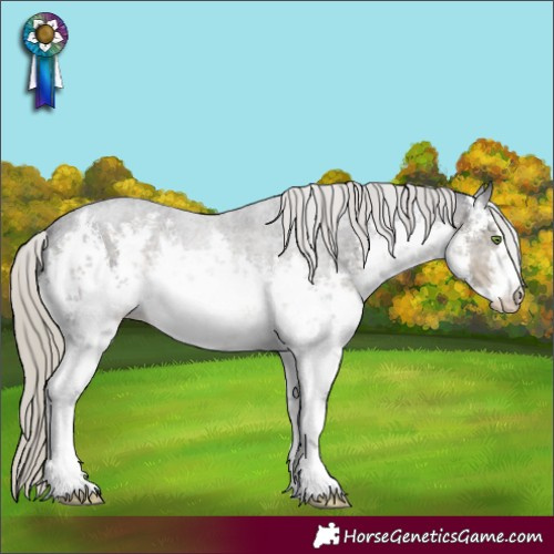 Horse Color:White Spotted Silver Smoky Black 