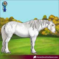 Horse Color:White Spotted Silver Smoky Black 