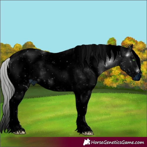 Horse Color:ERROR: UNKNOWN ANOMALY