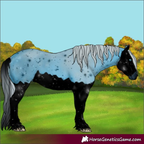 Horse Color:ERROR: UNKNOWN ANOMALY