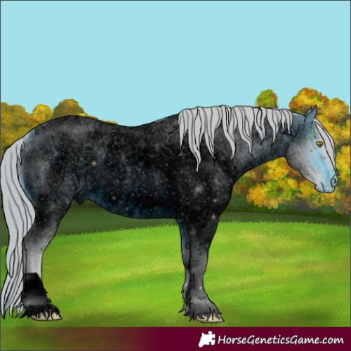 Horse Color:ERROR: UNKNOWN ANOMALY