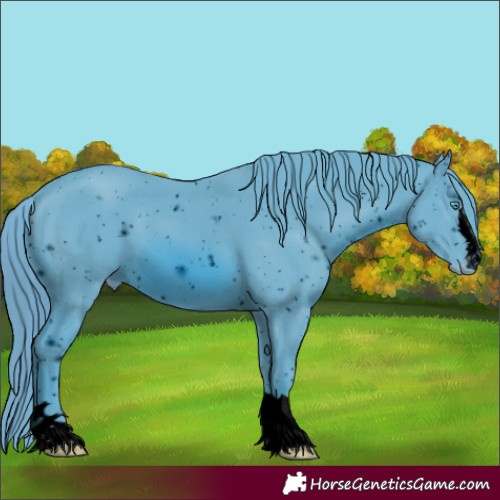 Horse Color:ERROR: UNKNOWN ANOMALY