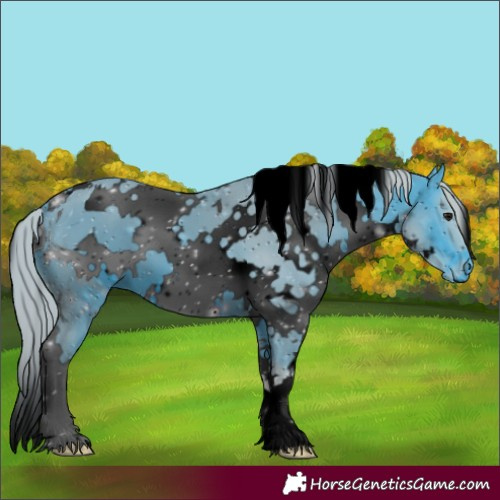 Horse Color:ERROR: UNKNOWN ANOMALY