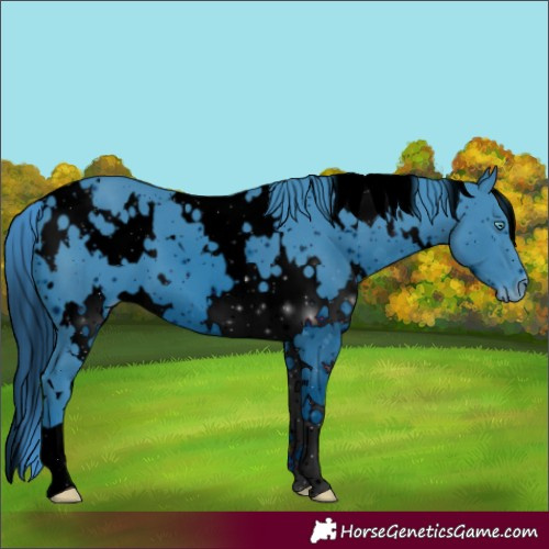 Horse Color:ERROR: UNKNOWN ANOMALY
