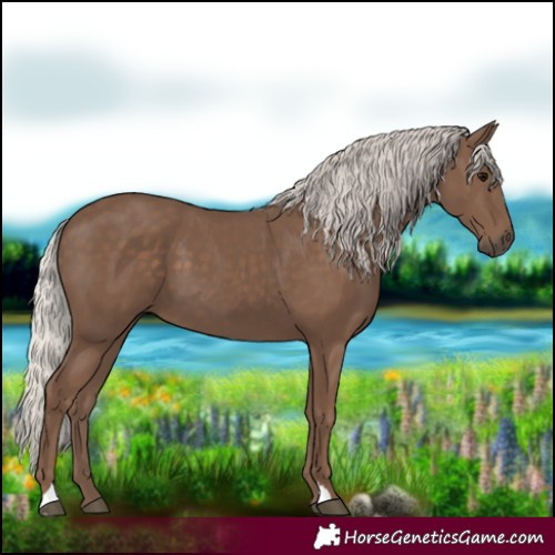 Horse Color:Silver Black
